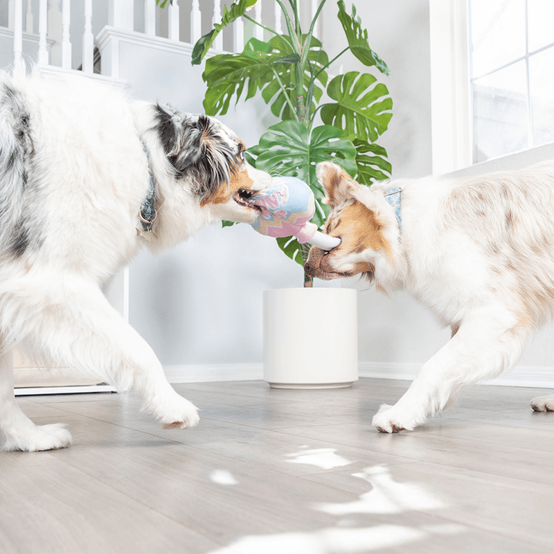 Bunny Pop Small Plush Dog Toy