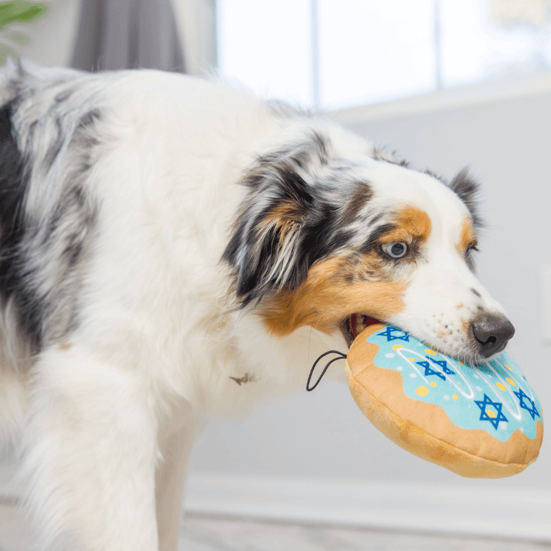 Jelly Roll Dog Toy