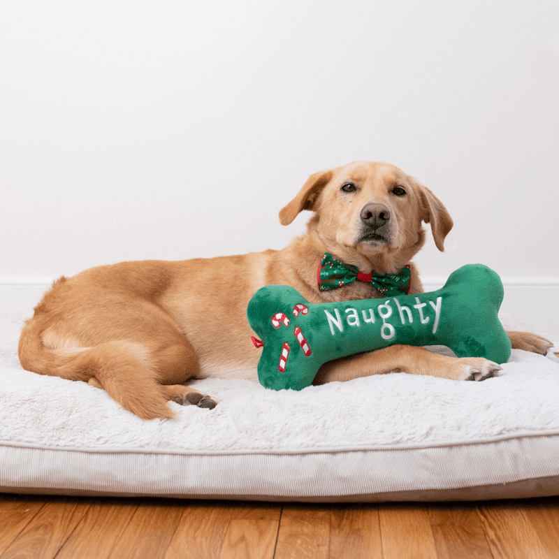 Naughty & Nice Small Bone Dog Toy