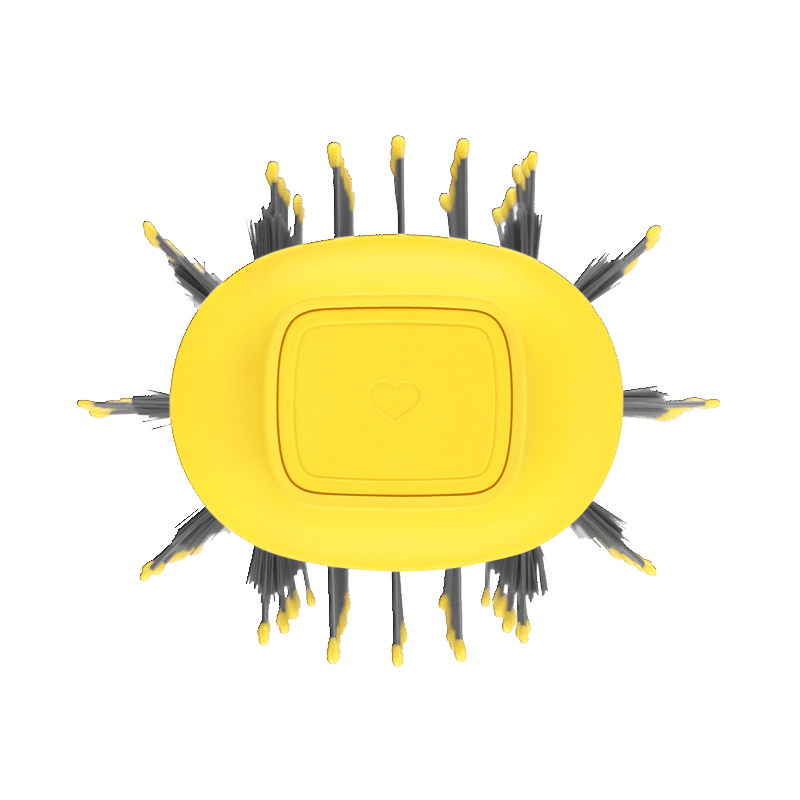 The Double Shot Oval Blow-Dryer Brush