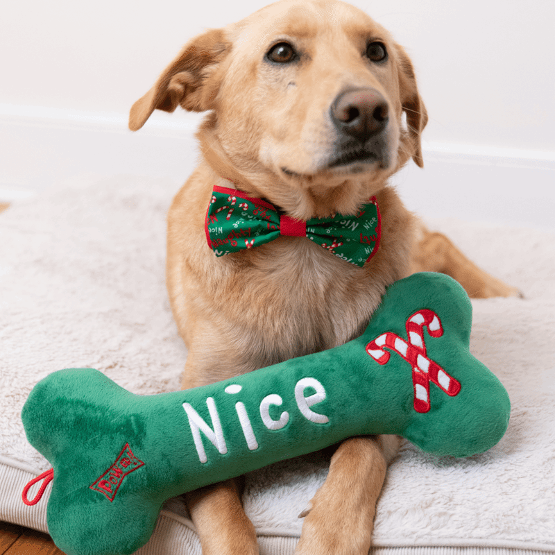 Naughty & Nice Small Bone Dog Toy