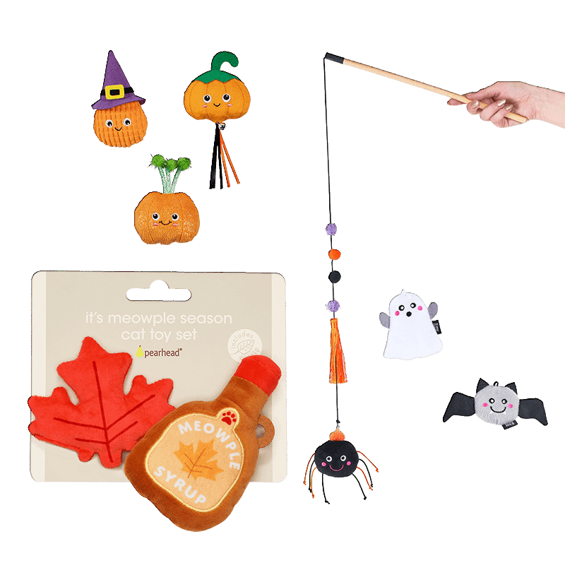 Witchy Paws Bundle