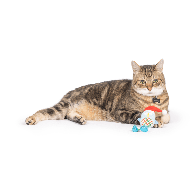 Holiday Bird Chirpy Cat Toy