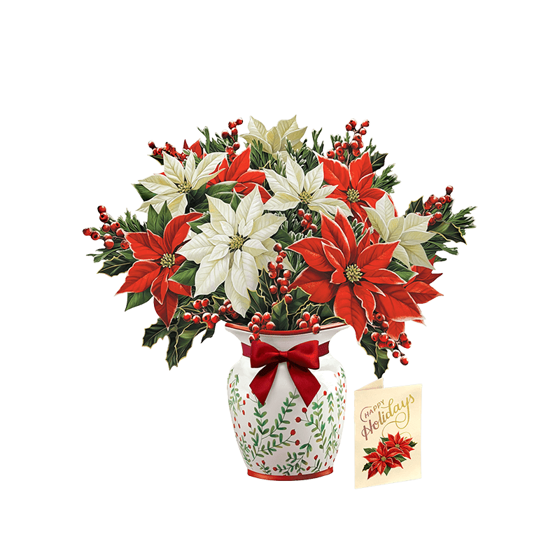 Festive Poinsettas