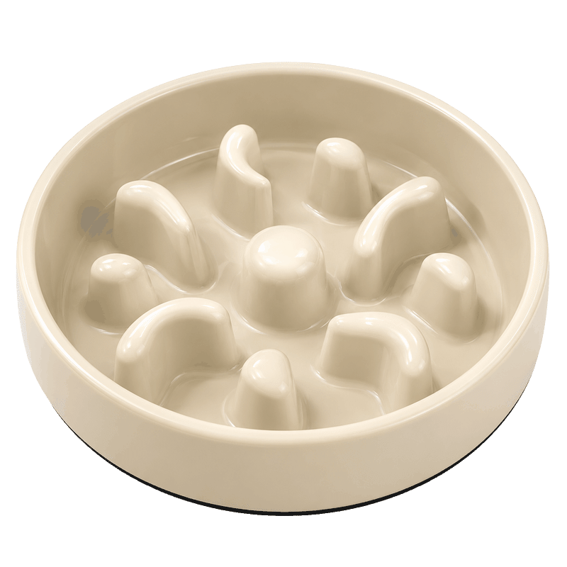 5 Cup Non Slip Slow Feeder Bowl