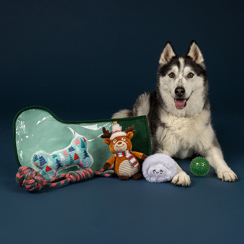 Happy Pawlidays Dog Toy Stocking