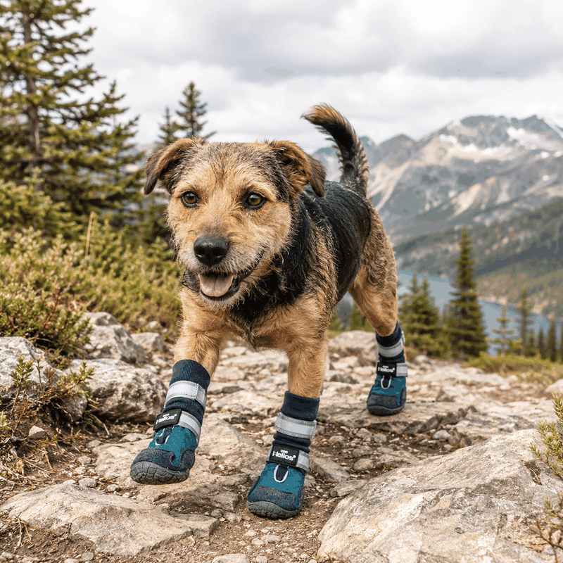 Traverse' Premium Grip High-Ankle Outdoor Dog Boots