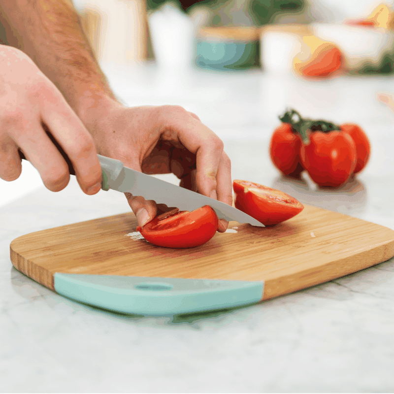 4 Piece Leo Stainless Steel Steak Knives Set