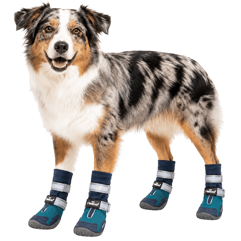 Traverse' Premium Grip High-Ankle Outdoor Dog Boots