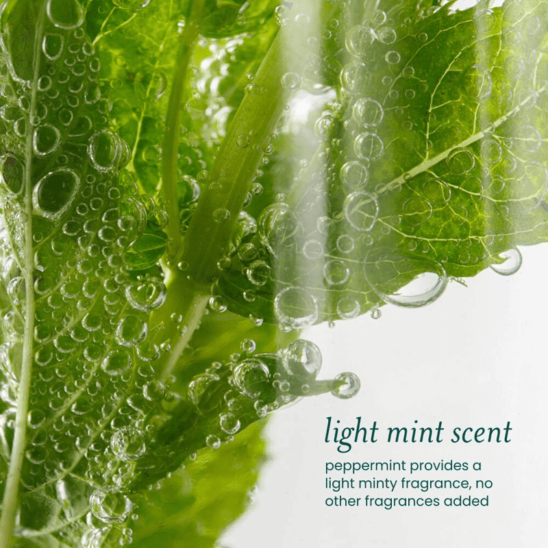 Detox Reset Soothing Scalp Serum
