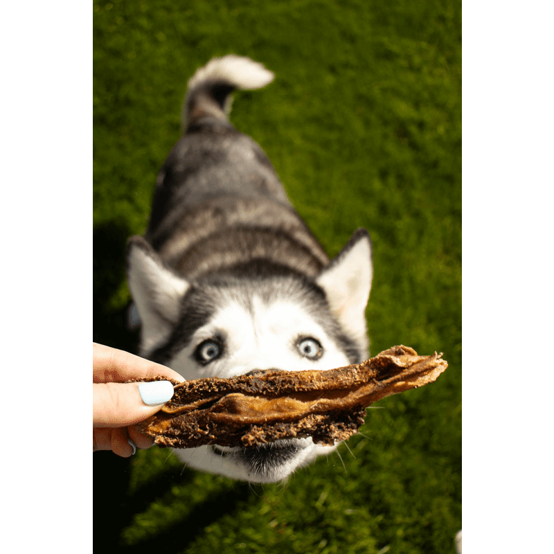 Lamb Tripe Dog Chews