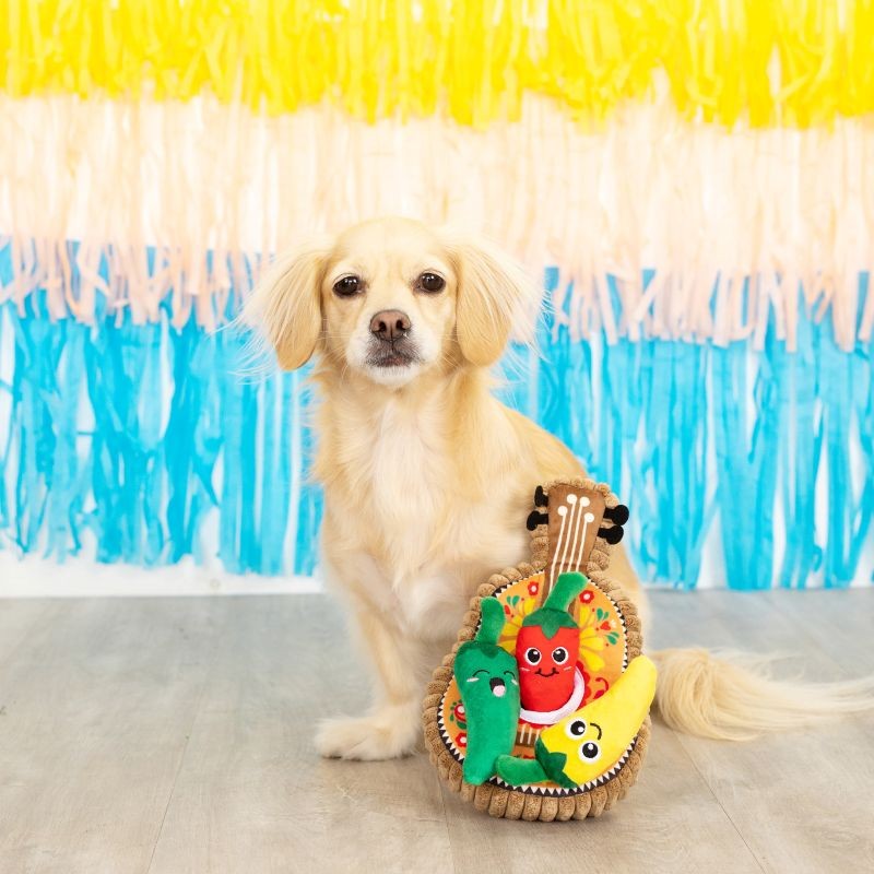 Fiesta Till You Siesta Plush Dog Toy