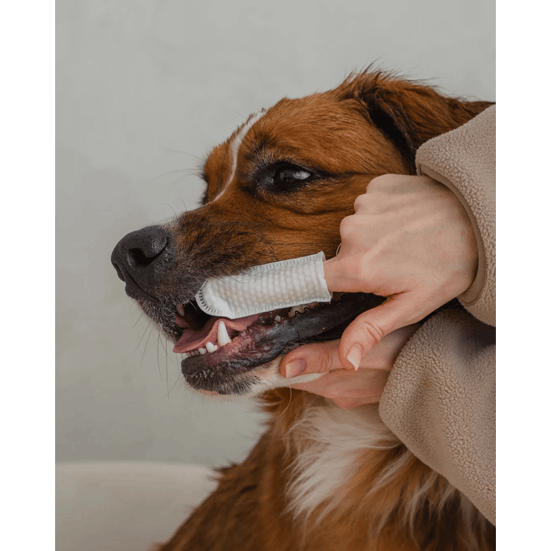 100-Pack Dental Cleaning Finger Wipes for Dogs
