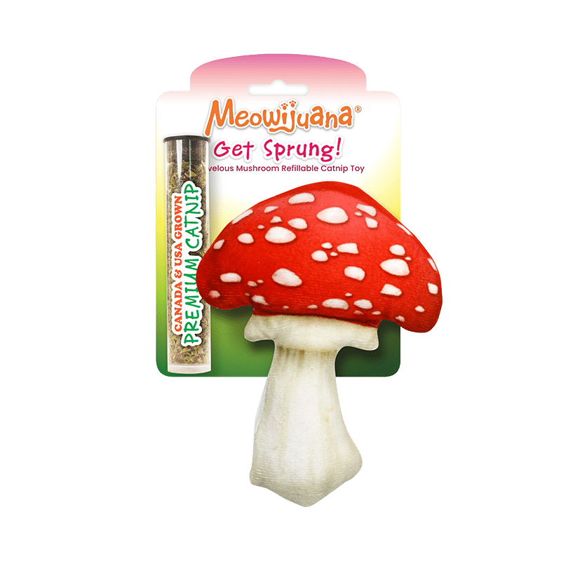 Get Sprung Mushroom Refillable Cat Toy