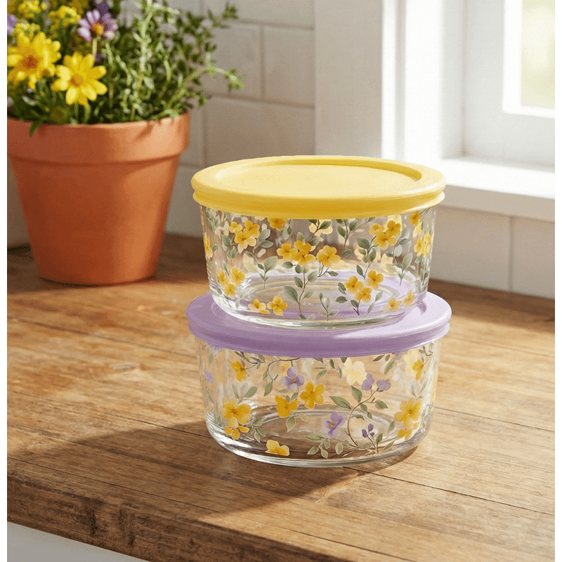 2 Pack 16oz Round with PP Lid