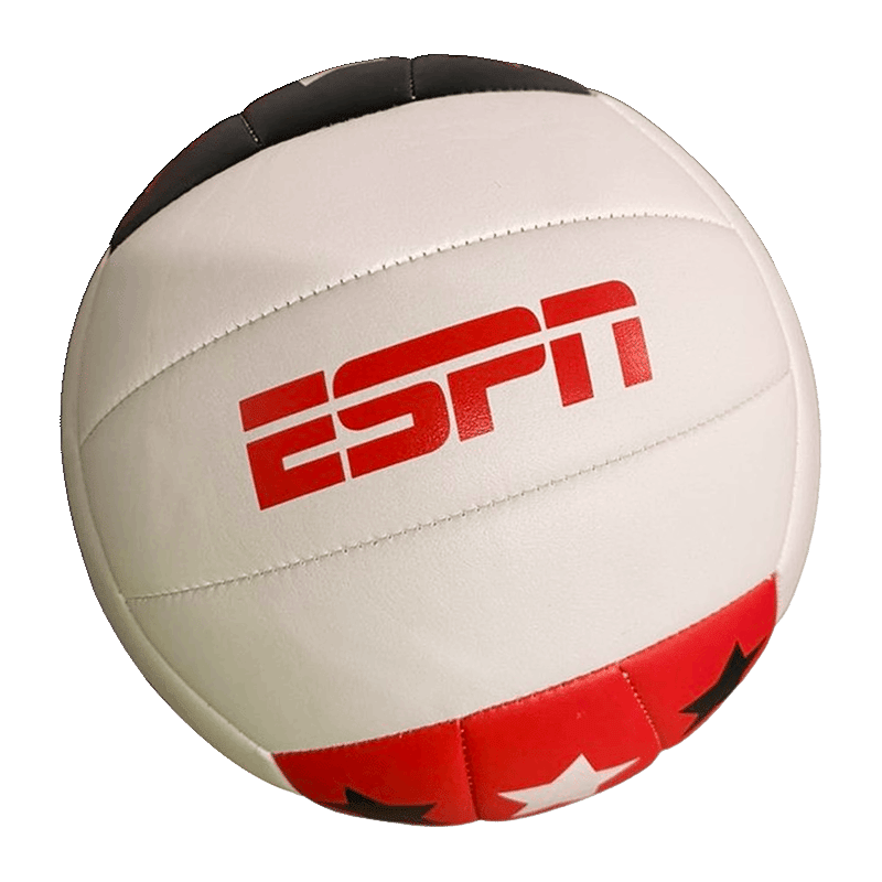 Playtime Volleyball With Pump