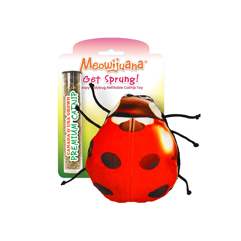Get Sprung Lady Bug Refillable Cat Toy