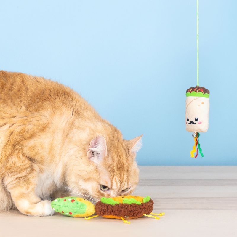 Feeling Like a Guac-Star Cat Toy