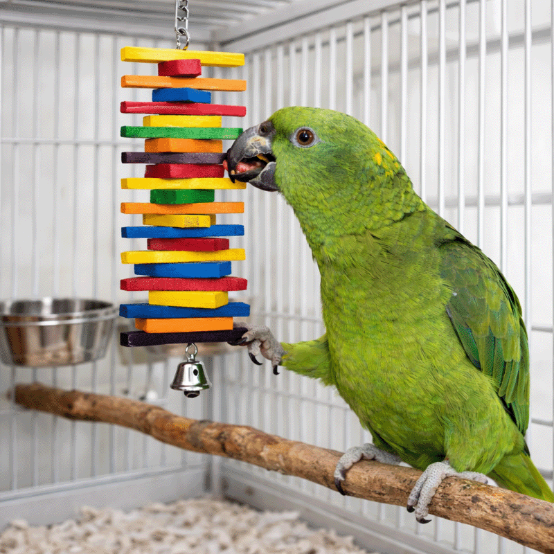Colorful Hanging Chew Toy for Small Birds