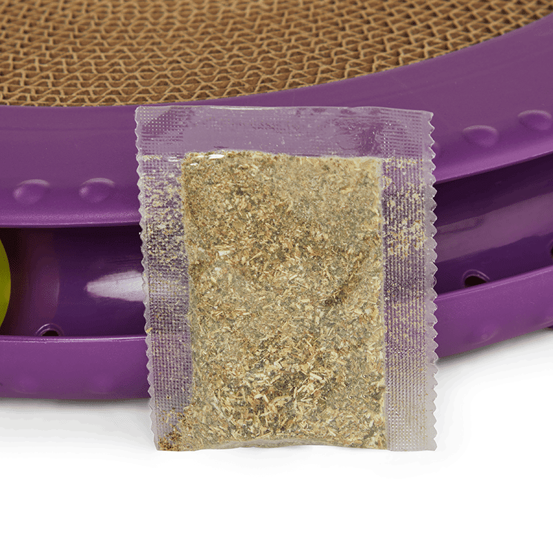 Cat Track Toy with Replaceable Scratch Pad, Medium