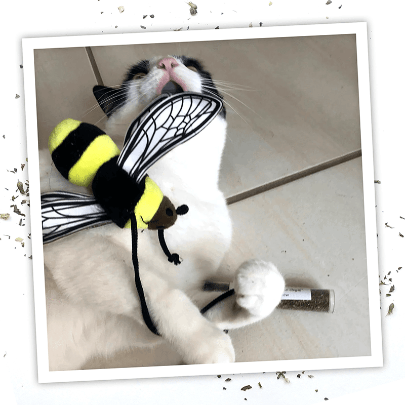 Get Buzzed Bee Refillable Wand Cat Toy