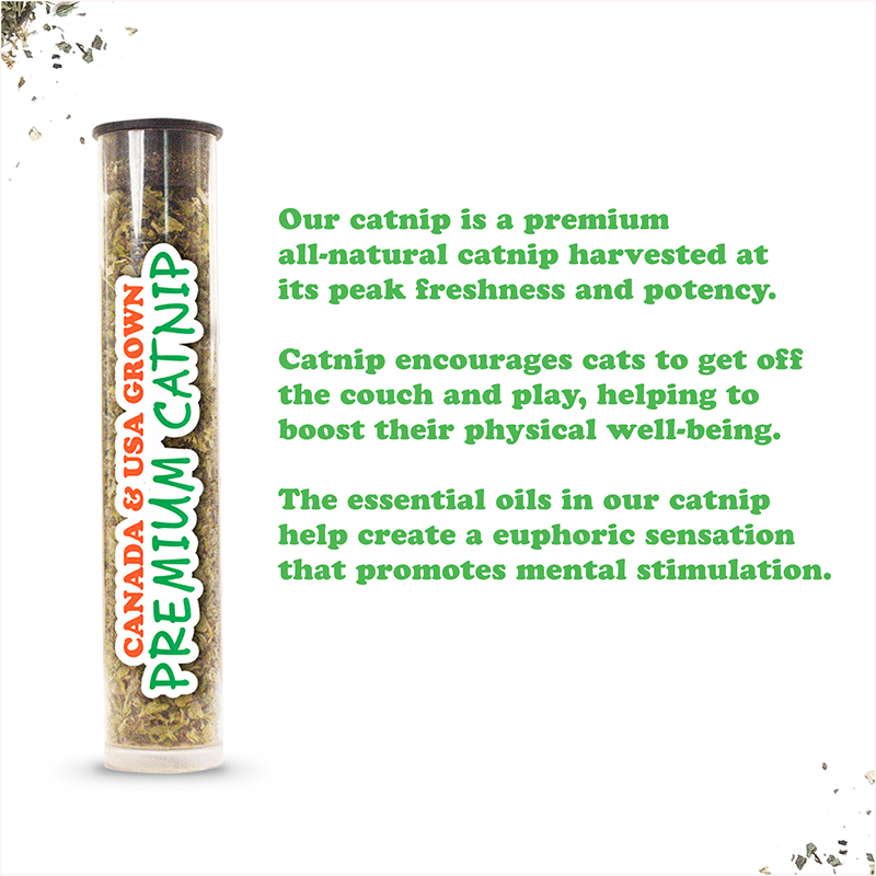 Get Spicy Taco Margarita Catnip Toy 2-Pack