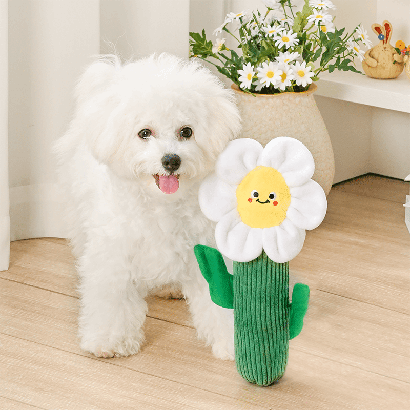 Daisy Plush Dog Toy
