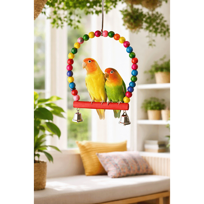 7 Piece Playtime & Bird Swing Set