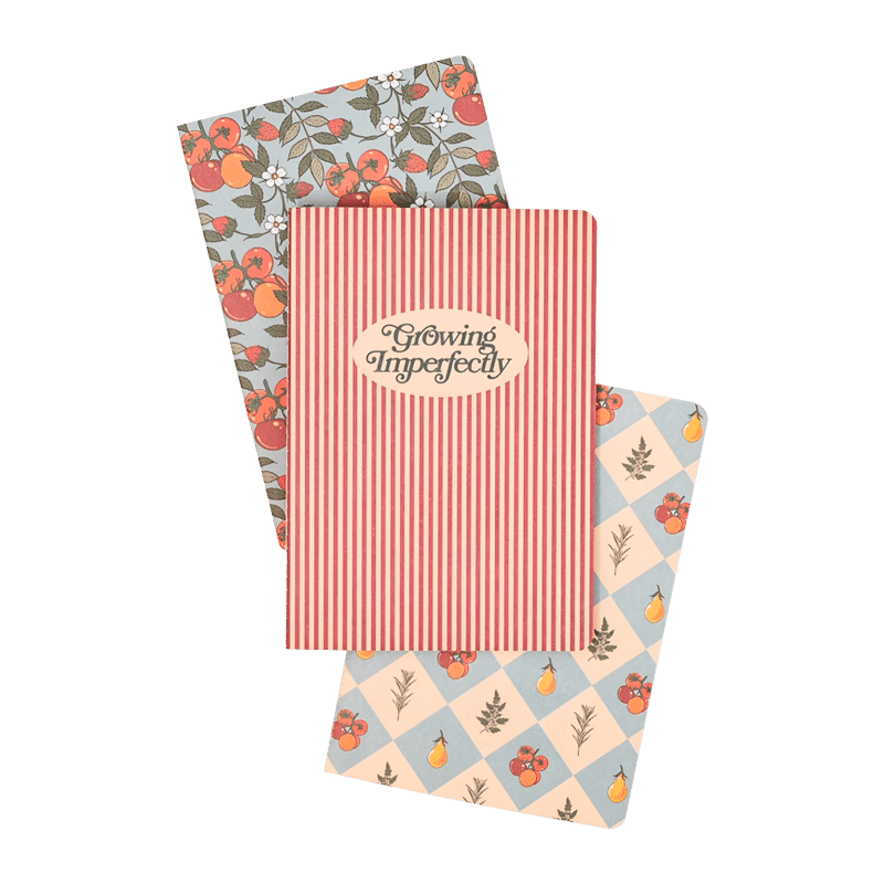 Rough Draft Notebook Set, Growing Imperfectly