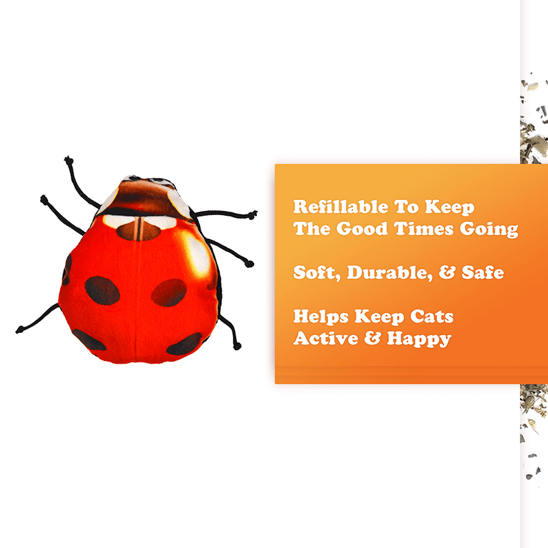 Get Sprung Lady Bug Refillable Cat Toy