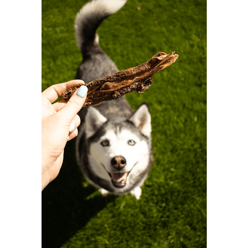 Lamb Tripe Dog Chews