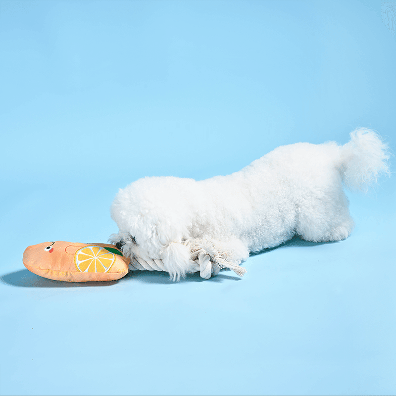 Beach Daze Orange Popsicle Dog Toy