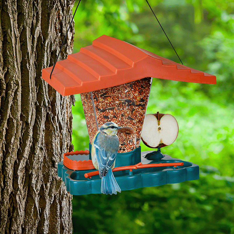 Hanging Wild Bird Feeder