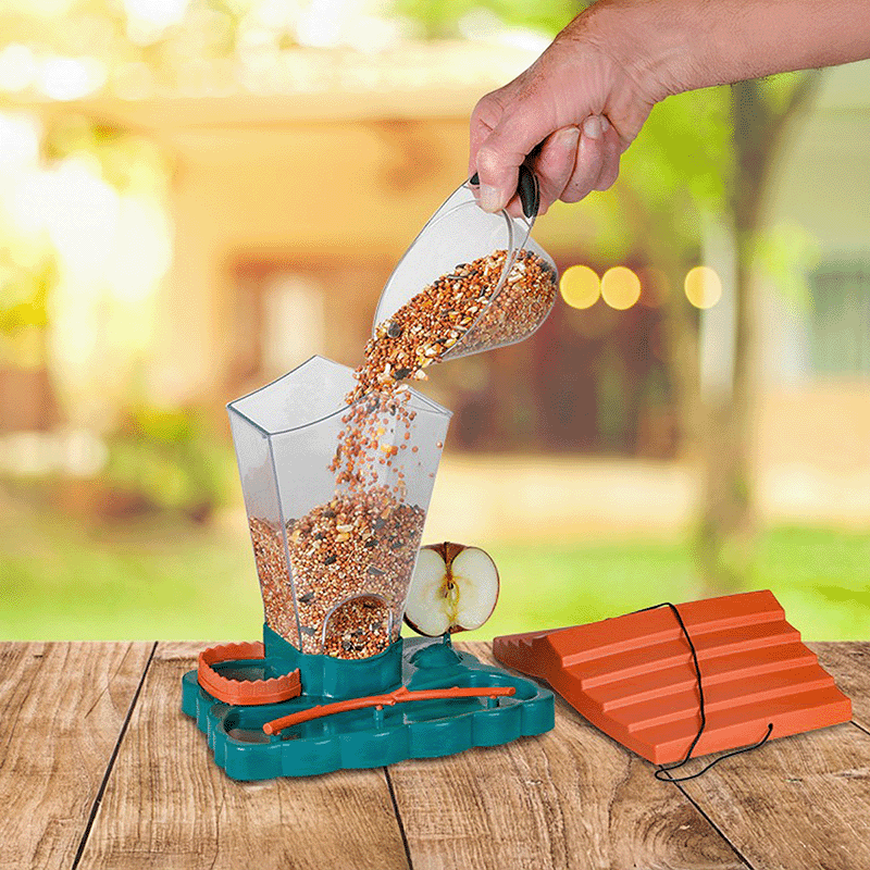 Hanging Wild Bird Feeder