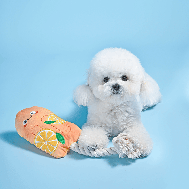Beach Daze Orange Popsicle Dog Toy