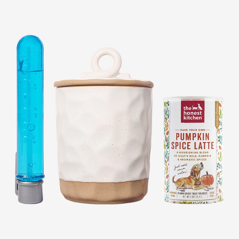 Tail-Wagging Treats Bundle