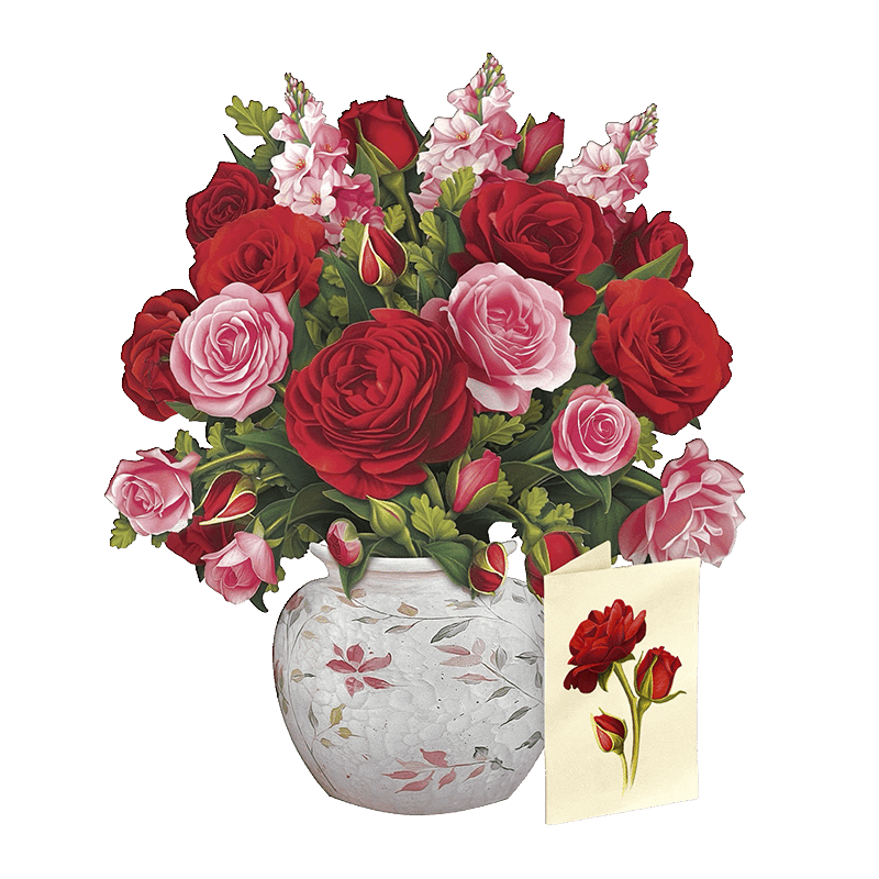 Blooming Roses