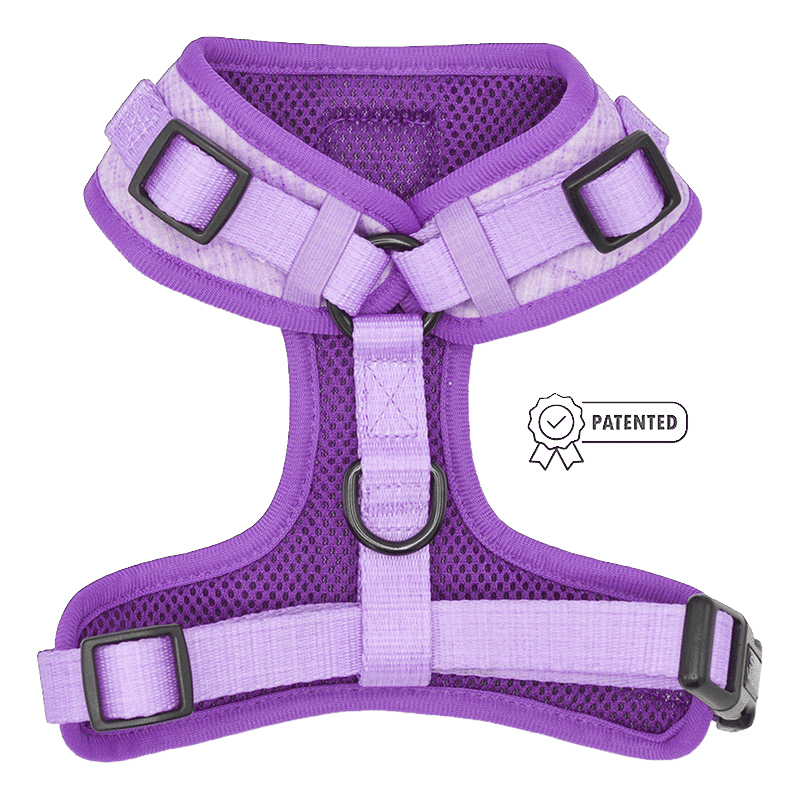 Dog Harness 