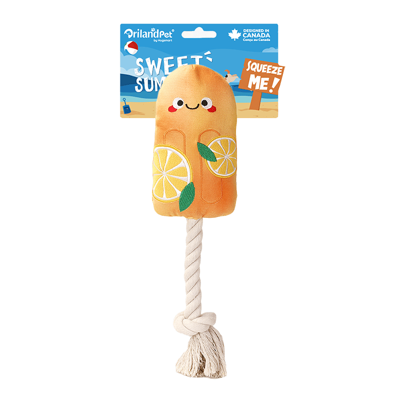Beach Daze Orange Popsicle Dog Toy