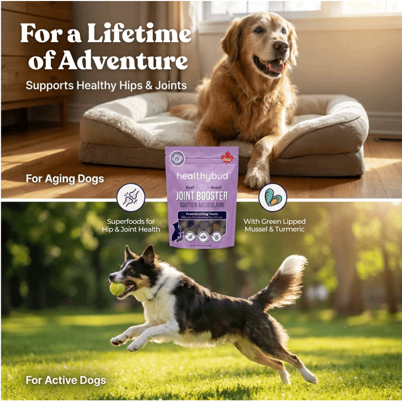 Joint Booster Beef Dog Treat & Meal Topper (2 Pack)