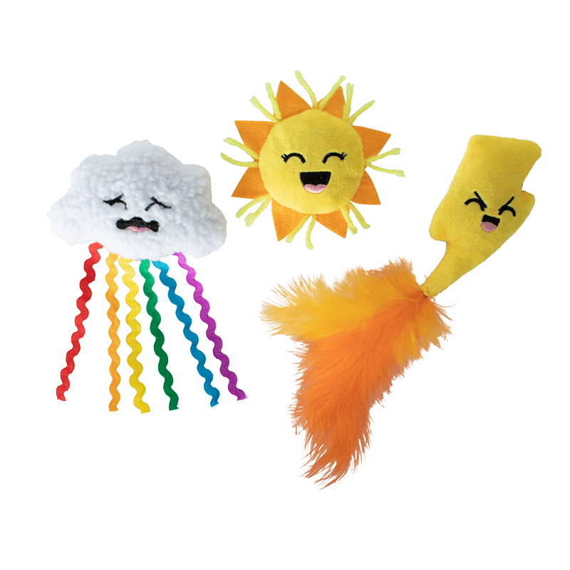 Purr-Fect Weather Cat Toy