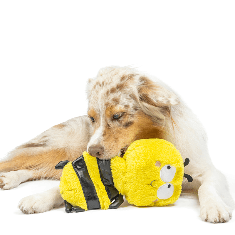 Slappies® Buzz Bee Dog Toy Small