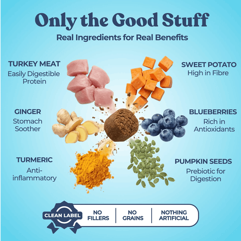 Gut Booster Turkey Dog Treat & Meal Topper