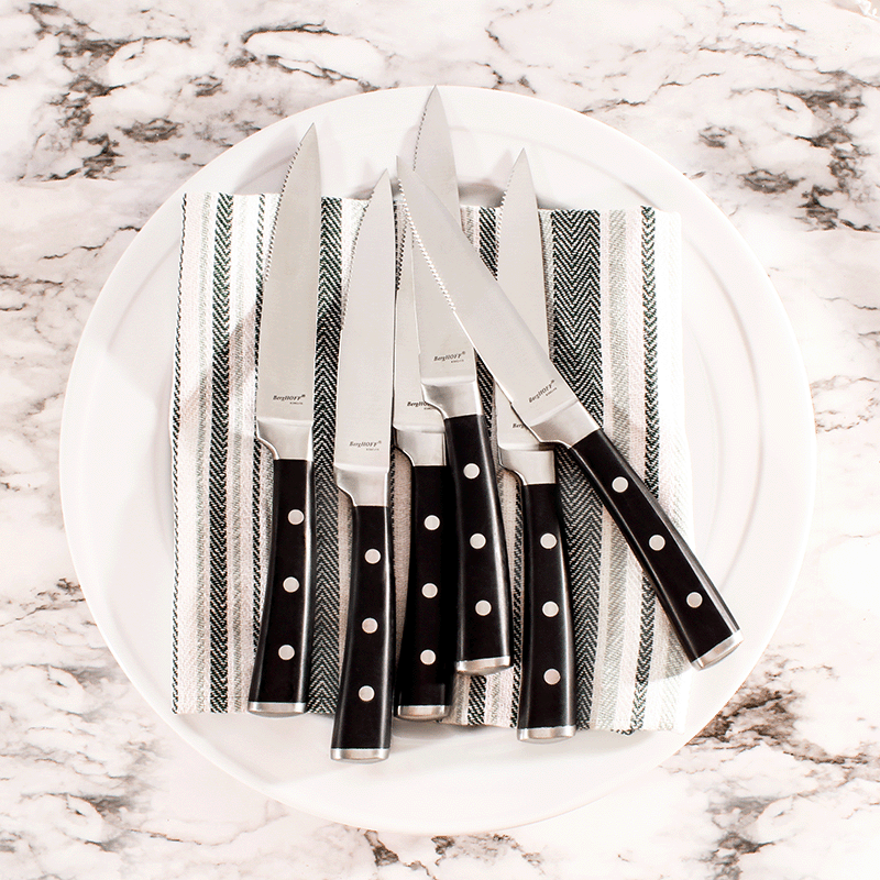 4 Piece Stainless Steel 5" Steak Knife Set