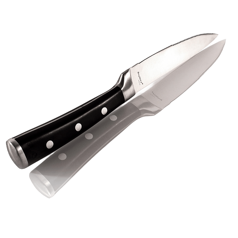 4 Piece Stainless Steel 5" Steak Knife Set