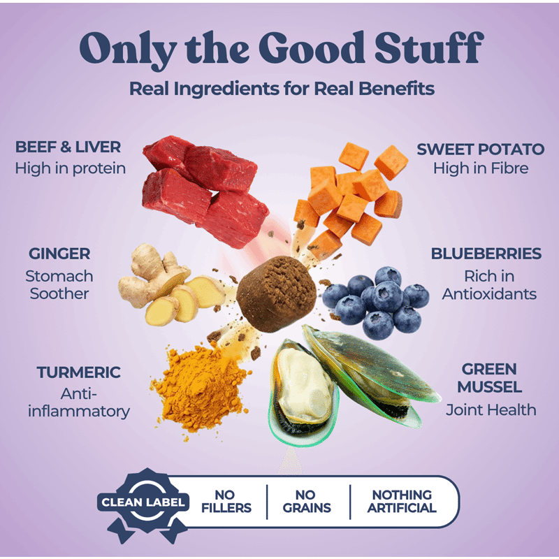 Joint Booster Beef Dog Treat & Meal Topper (2 Pack)