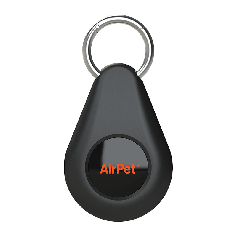 Locator Tag + Keychain