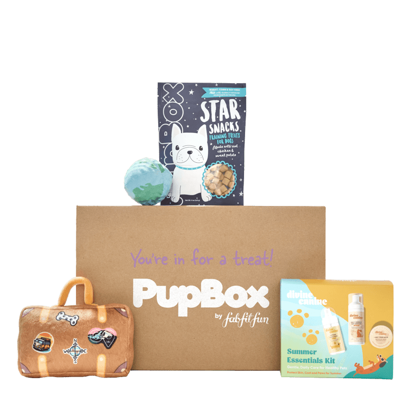 Picture of PupBox by FabFitFun Lite (S/M)