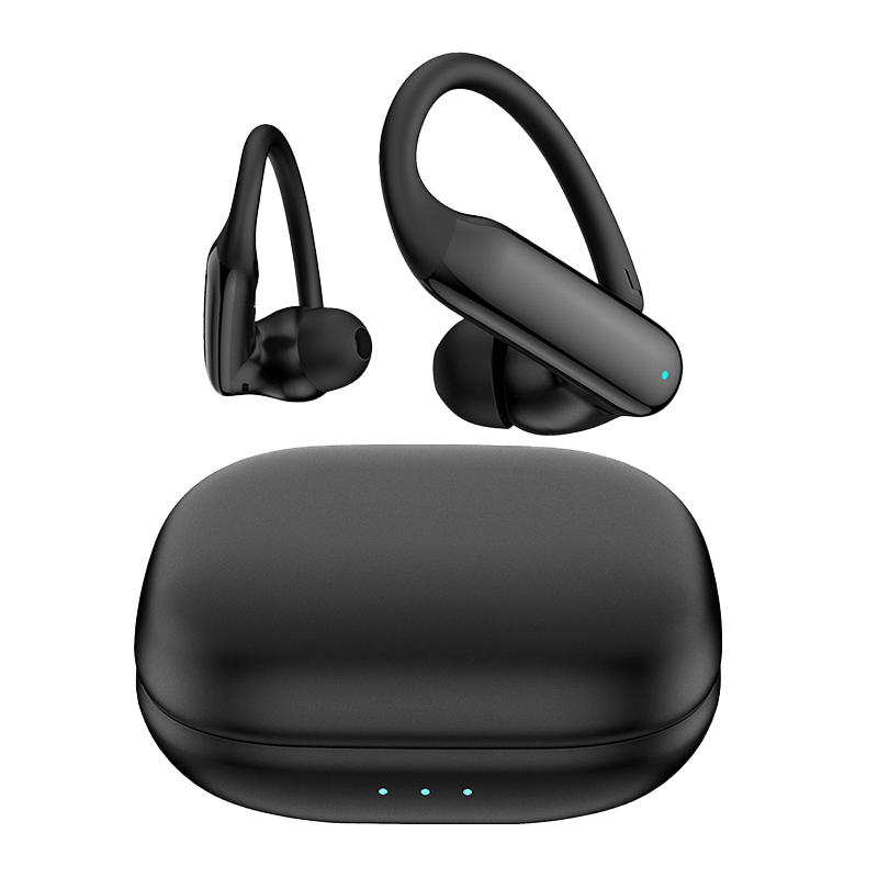 Truebuds Flex Earbuds & Charging Case