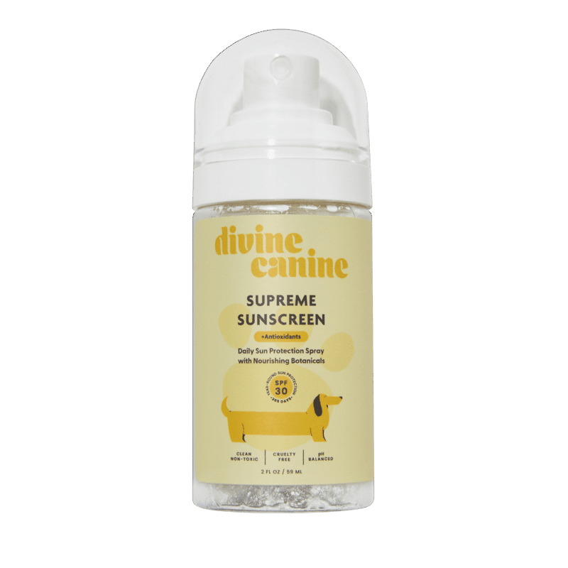 PupBox by FabFitFun Lite (S/M)